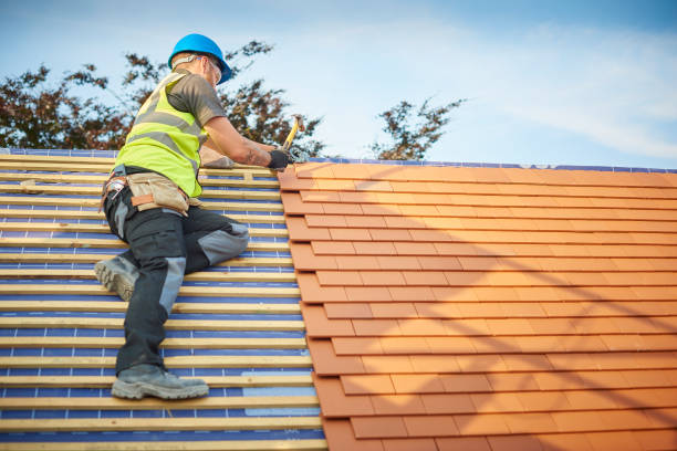 Best Roof Maintenance and Cleaning  in Oblong, IL